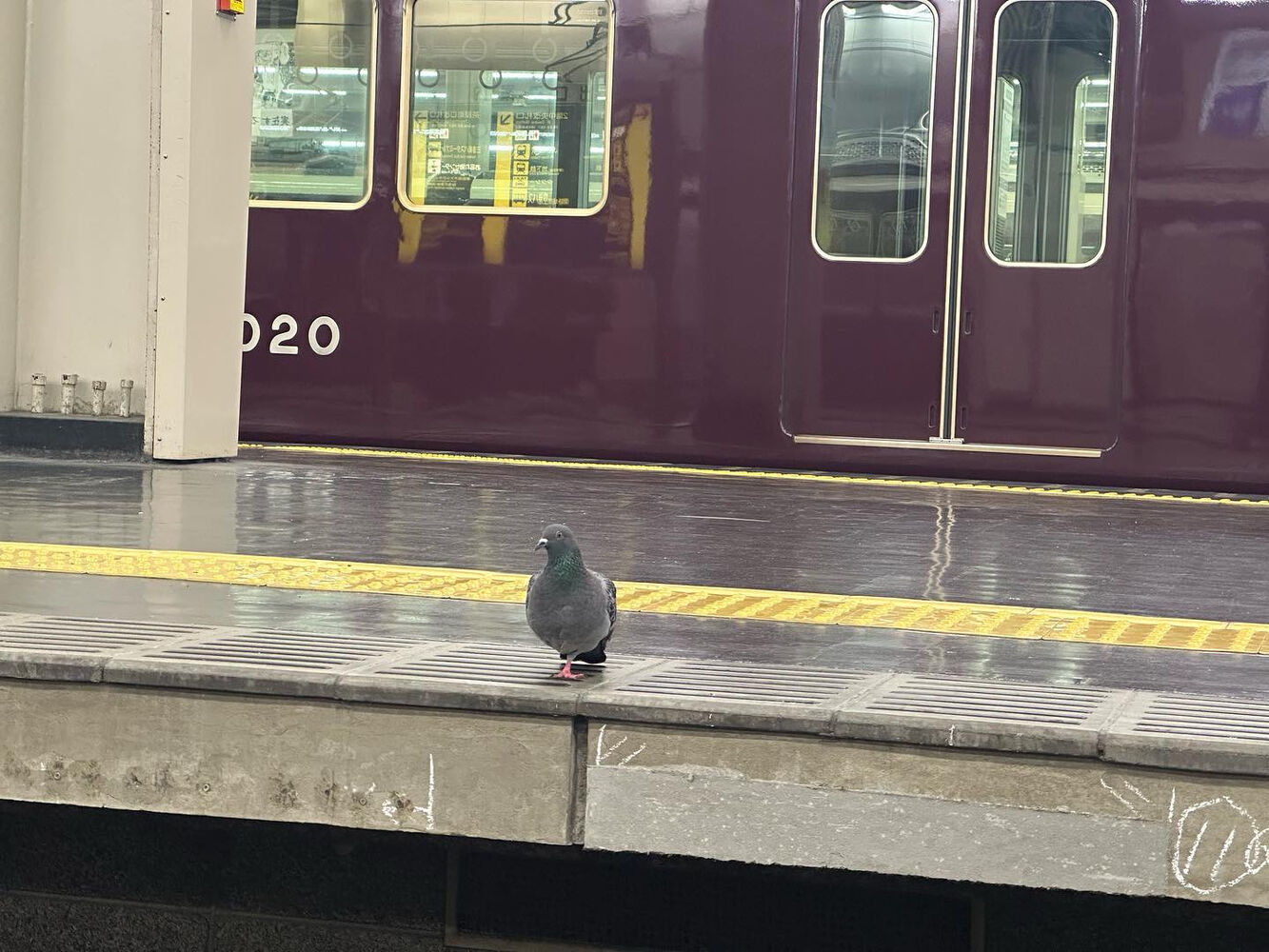 ブログ画像